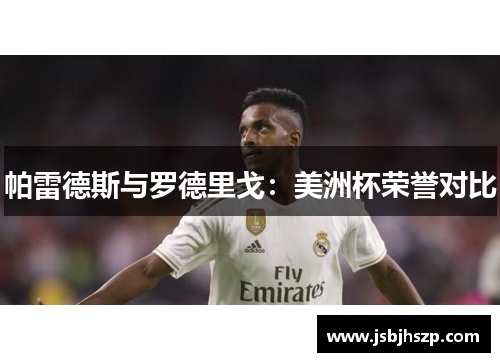 帕雷德斯与罗德里戈：美洲杯荣誉对比