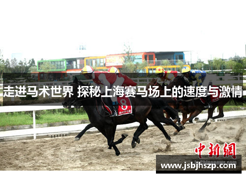 走进马术世界 探秘上海赛马场上的速度与激情 走进马术世界 探秘上海赛马场上的速度与激情